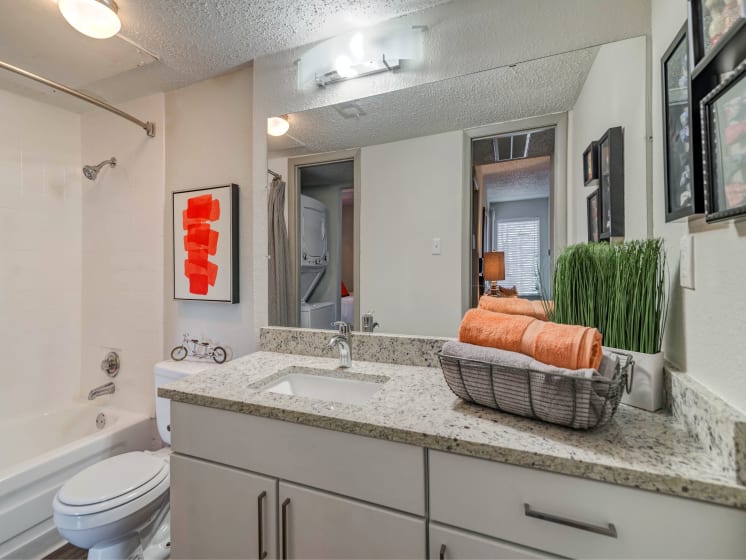 South Lamar Village Bathroom